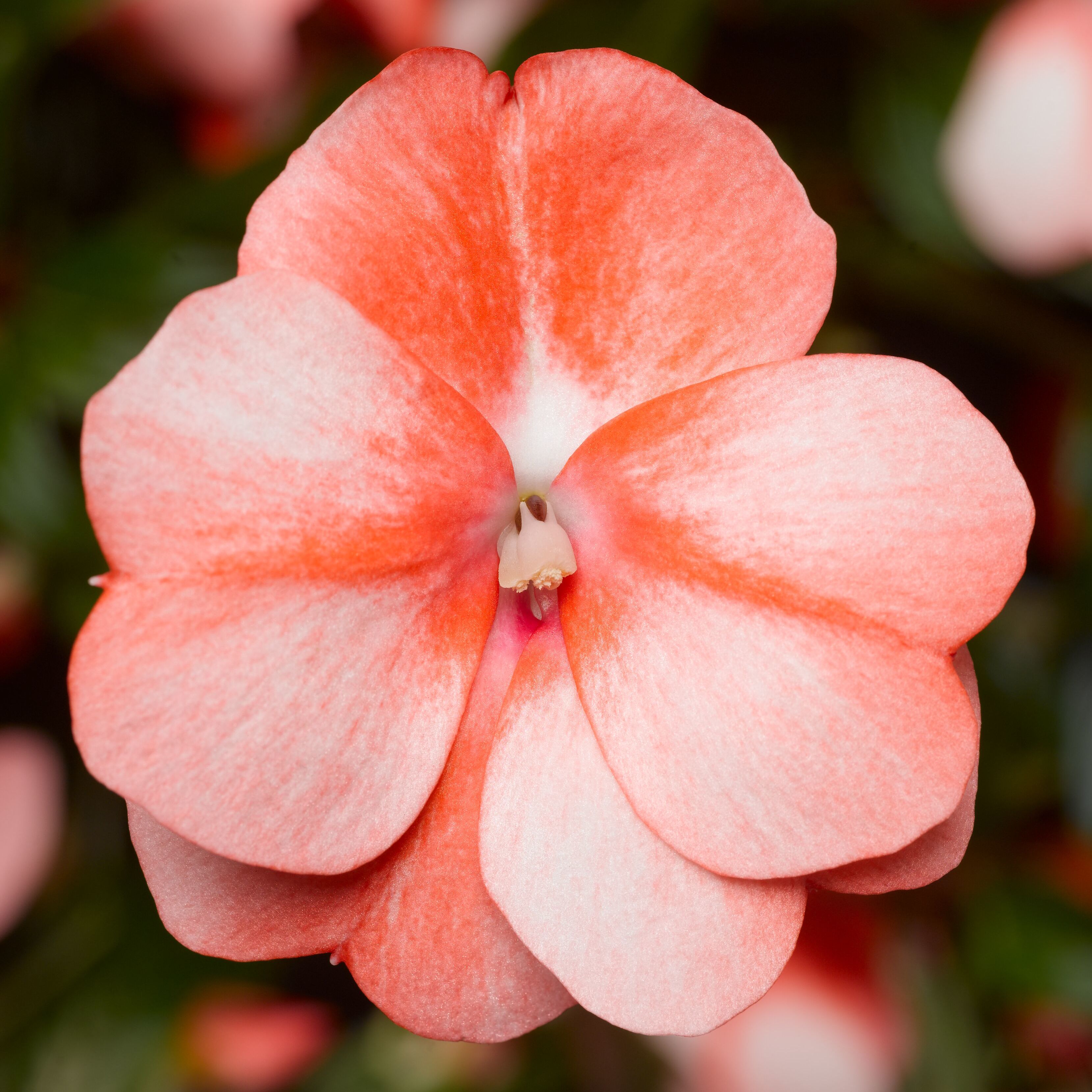 floria gleitgel Food main image 0
