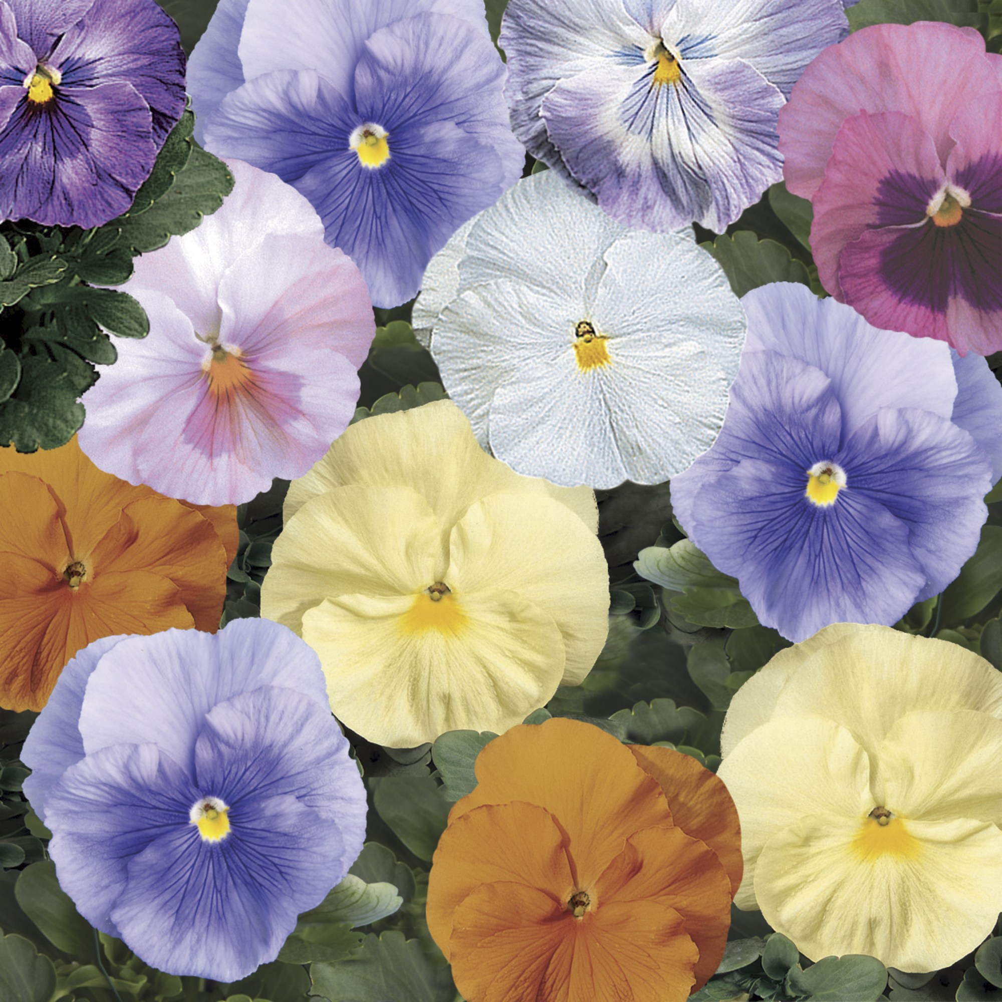 Delta™ Classic Watercolors Mix