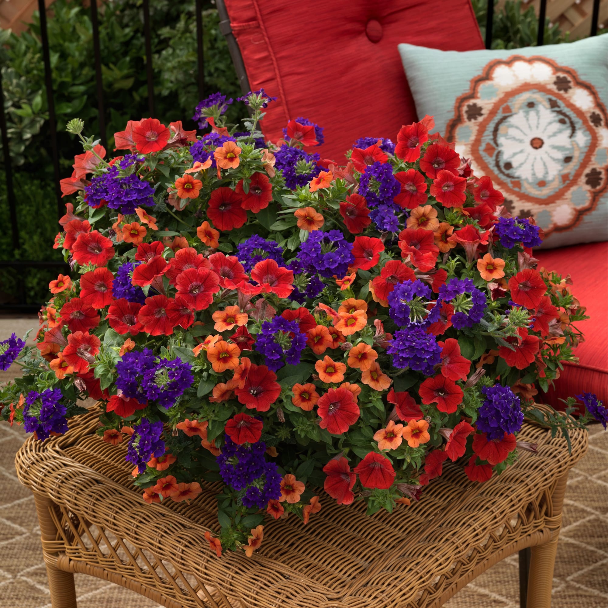 Southwestern Summer™ Mix Imp.