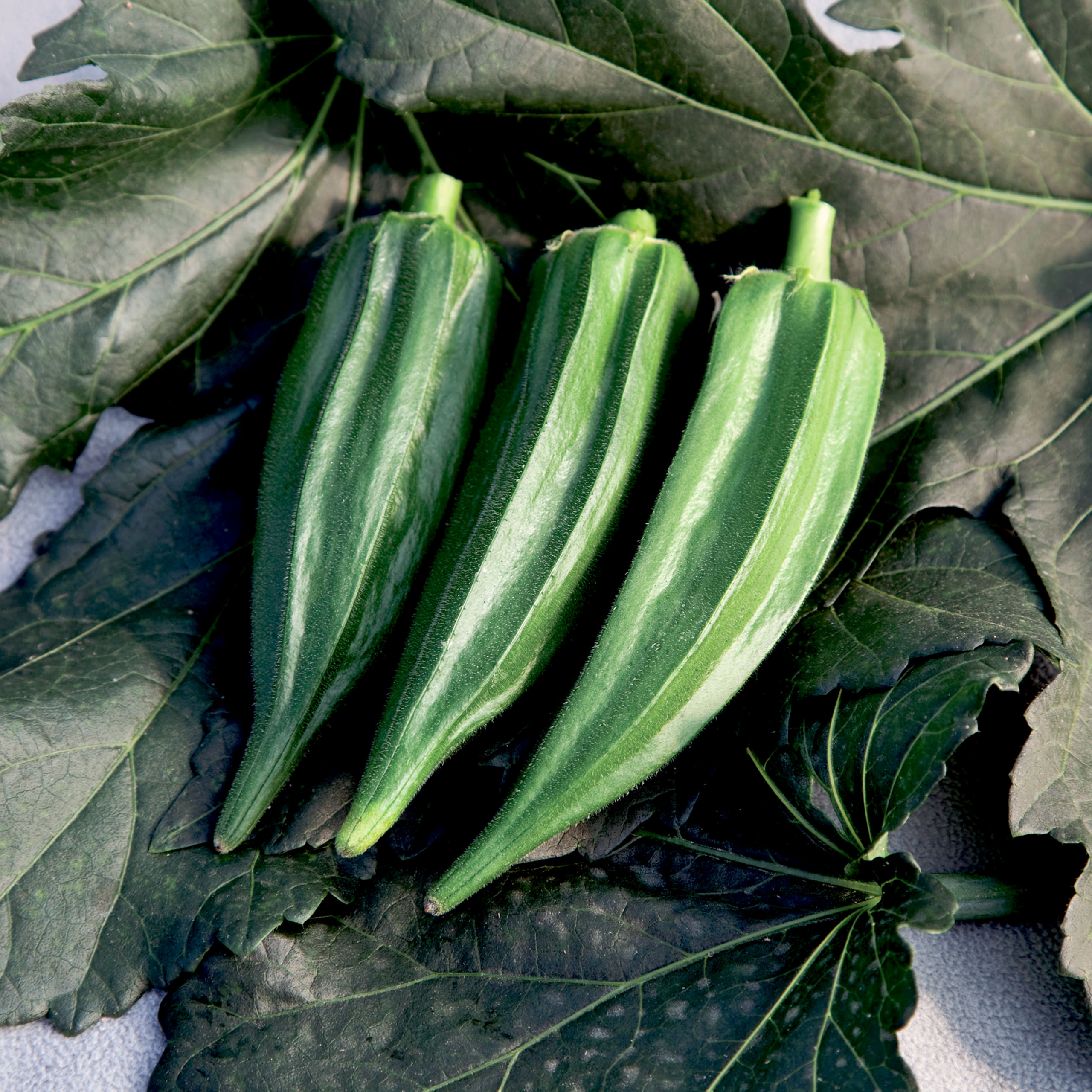 hr_70093986_4.jpg