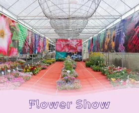 Syngenta Flowers Show Vietnam