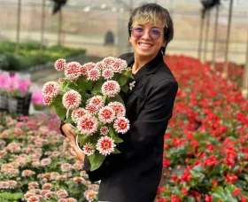 Mrs. Truong Thi Bao Yen from Da Lat City, can't get enough of our Swizzle Zinnias