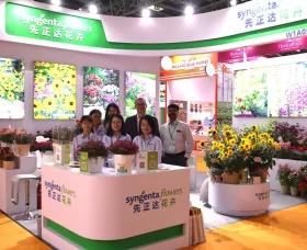 IPM Beijing - China team with Mark Schermer and Mallikarjun mangrule