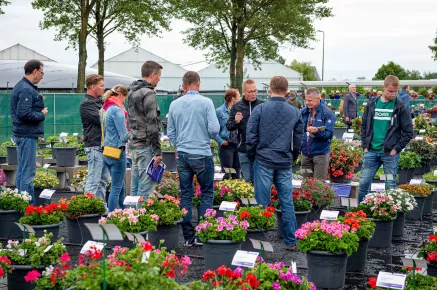 Flower Trials 2019