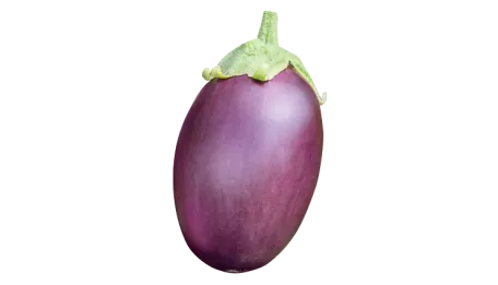 vegetalis-eggplant-thumb