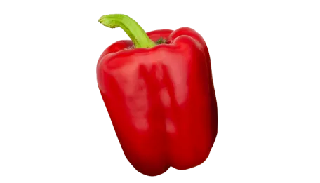 vegetalis-pepper-thumb