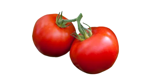 vegetalis-tomatoes-thumb