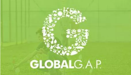 sustainability-thumb