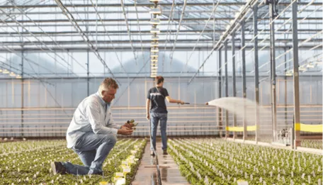 young-plant-production-center-thumb