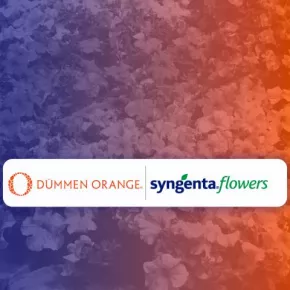 Dümmen Orange and Syngenta Flowers Joint Venture