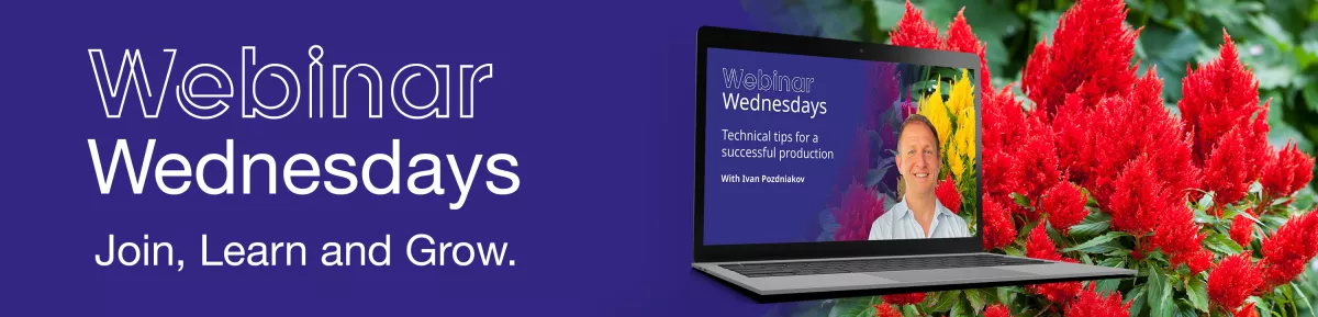 Webinar Banner