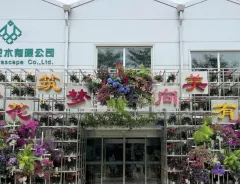 Eighth Beijing Florascape Flower Show