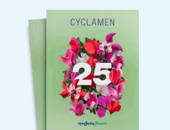catalog-thumb-apac-cyclamen-2025.jpg