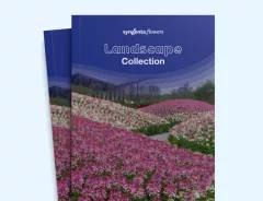 catalog-thumb-apac-landscape-2025.jpg
