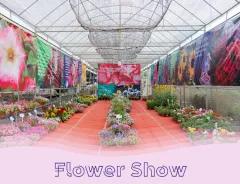 Syngenta Flowers Show Vietnam