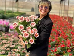 Mrs. Truong Thi Bao Yen from Da Lat City, can't get enough of our Swizzle Zinnias