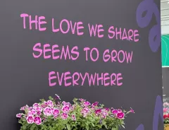 Petunia - Painted Love - The love we share seems to grow everywhere