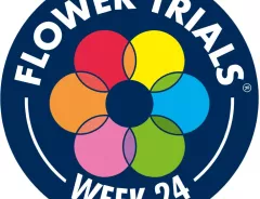 Flower Trials