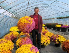 Mr Zhu Ping An - Bejing China - Garden mum - Gigi