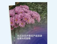 Chinese catalog Vegetative (Mums)