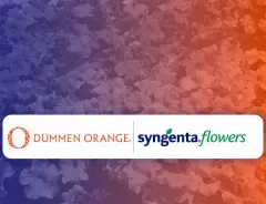 Dümmen Orange and Syngenta Flowers Joint Venture