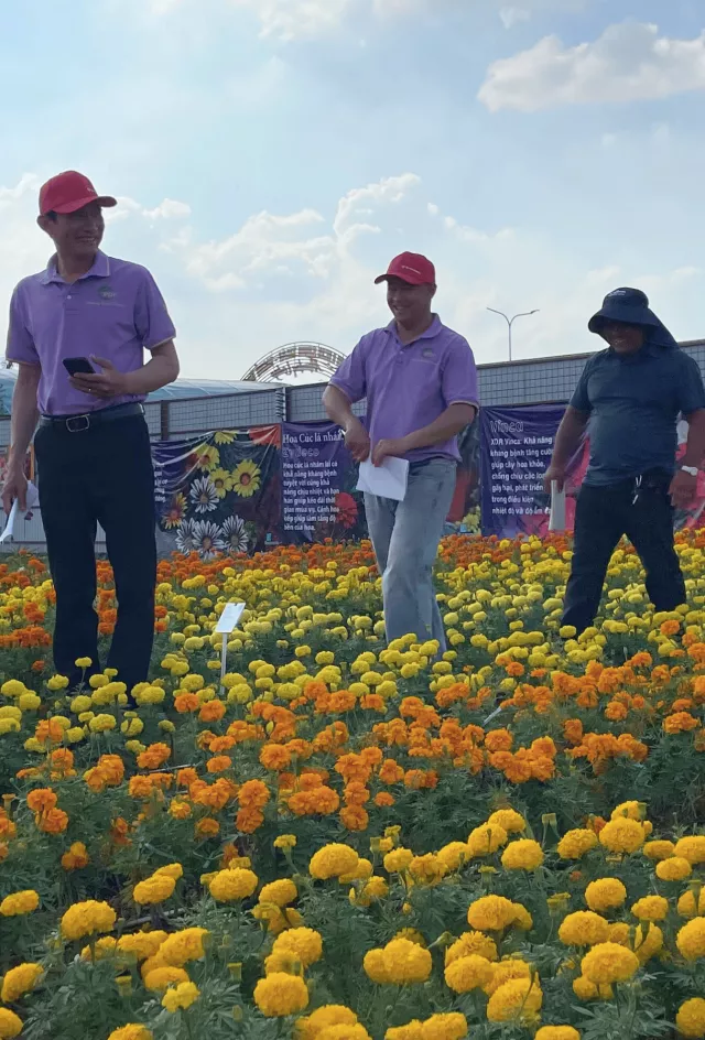 Sa Dec Flower Festival