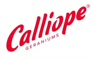 Calliope M Red Splash