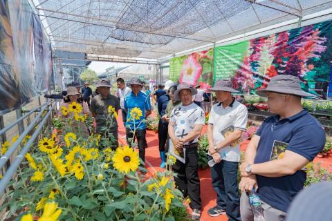 syngenta_flowers_apac_-_viet_nam_flowers_show_-_inspection_of_sunfinity.jpg