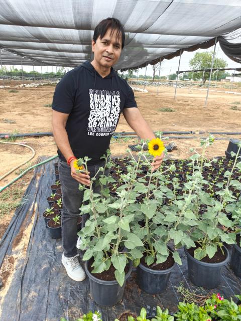 Anurodh Singh showing Sunfinity at Hind Agro