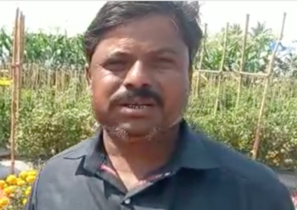 Indi Grower