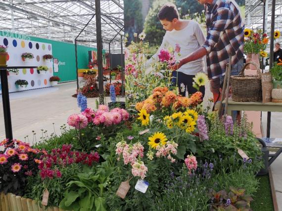 Flower Trials 2024 