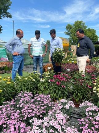 Discussing perennials with Indian growers at Flower Trials 2025