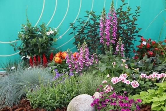 Landscape display at Flower Trials 2025