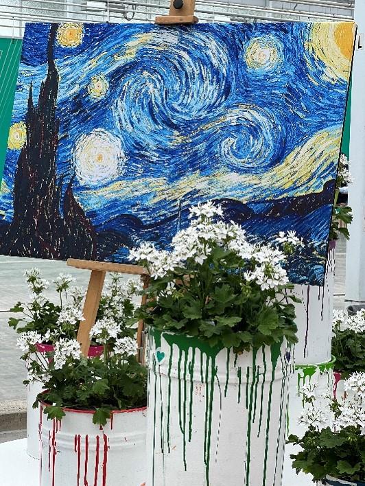 Flowers Trials 2024 Pelargonium Stary White
