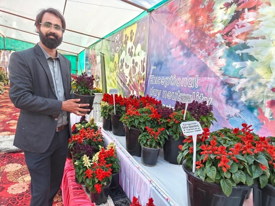Technical Sales Manager Abilash Singh showing the Salvia splendens Mojave