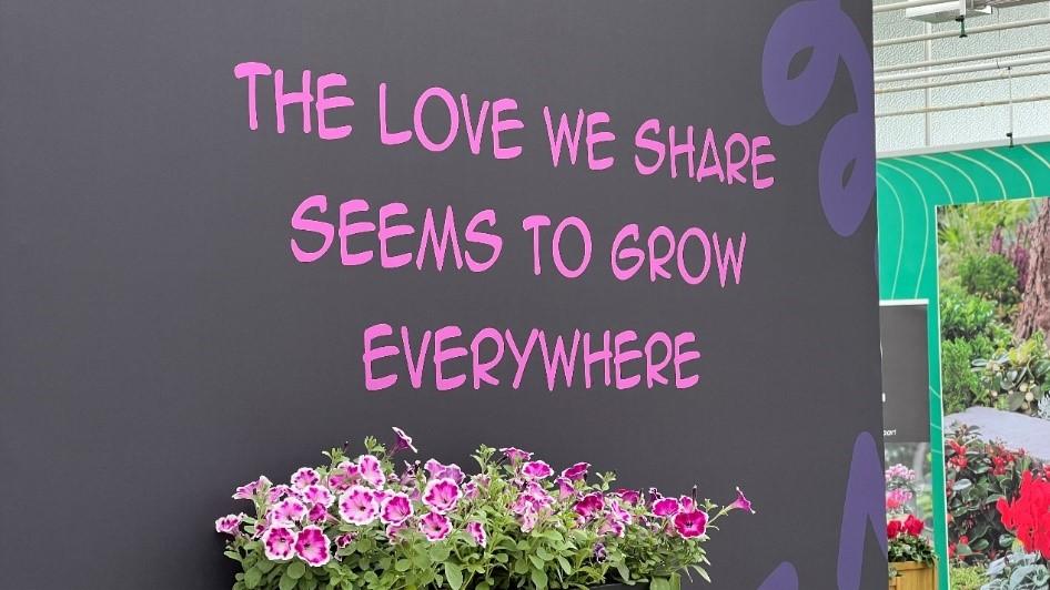 Petunia - Painted Love - The love we share seems to grow everywhere