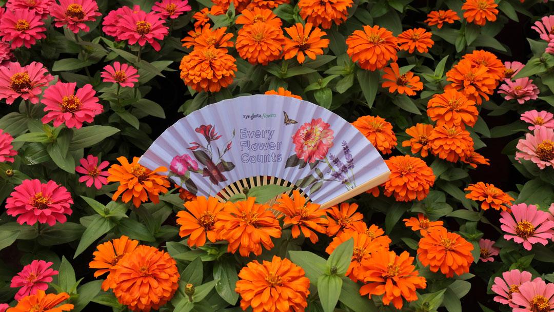 Syngenta Flowers Show in Pune