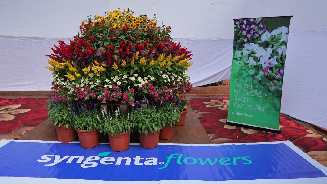 Syngenta Flowers Show in Pune