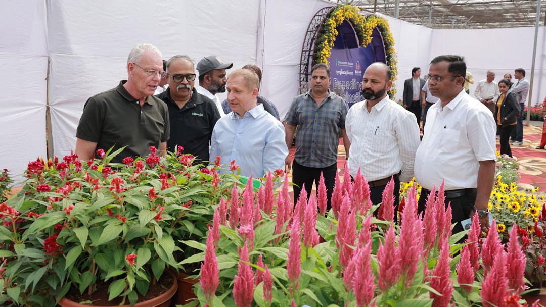 Syngenta Flowers Show in Pune