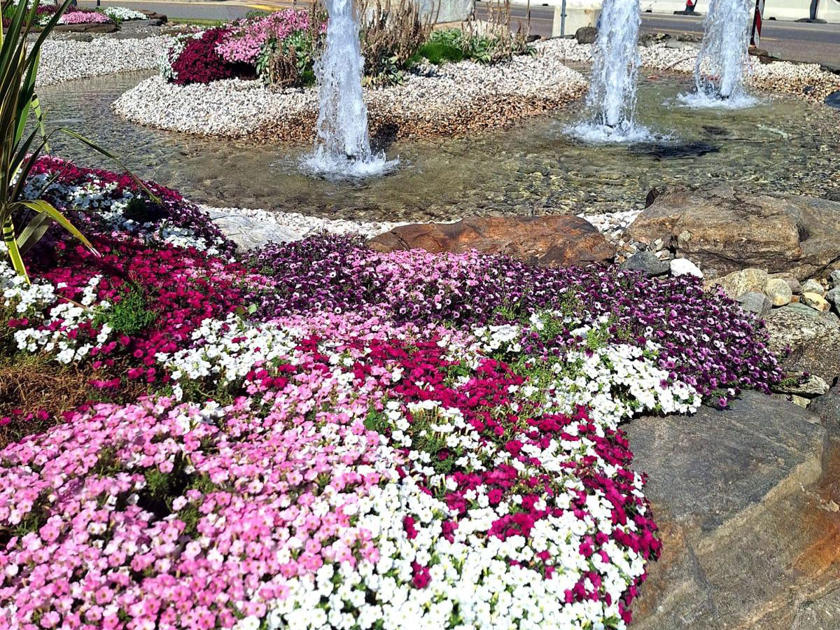 Landscape | Syngenta Flowers