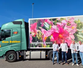 Gam Bakker and Syngenta Flowers collaboration