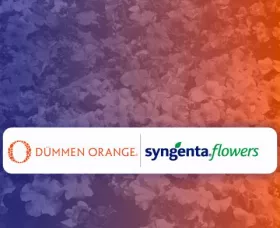 Joint Venture Dümmen Orange And Syngenta Flowers