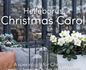 Christmas Carol consumer website