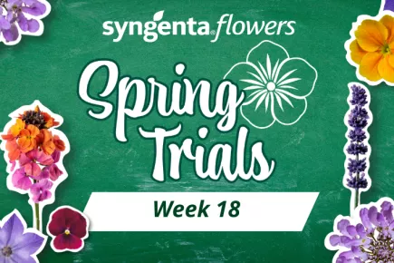 Spring trials week 18