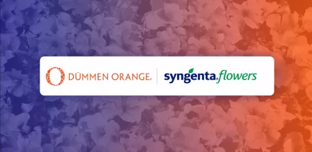 Dummen Orange and Syngenta Flowers joint venture