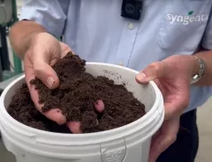 Alternatives to Peat in Potting Soil