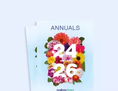 Annuals 