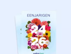 annuals