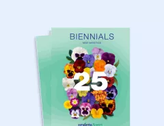 bien