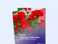 catalog cuttings 